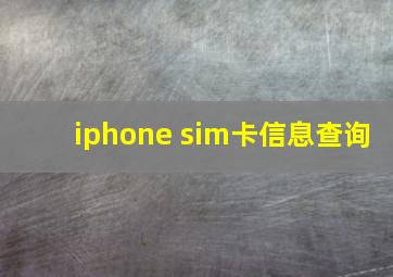 iphone sim卡信息查询